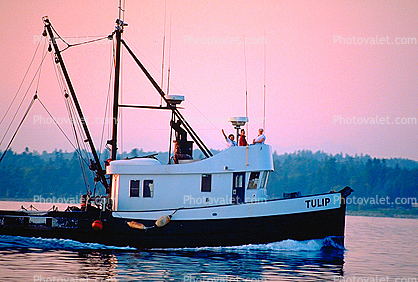 Fishing Boat, Boundary Bay, Blaine