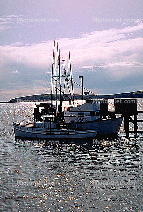 Pier, Bodega Headlands, Bodega Bay, Dock, Harbor