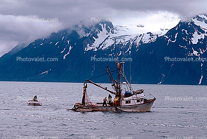 Salmon fishing, Prince William Sound, near Valdez