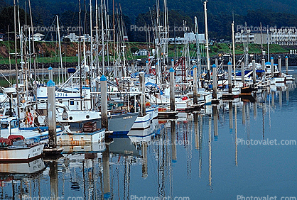Half Moon Bay, Fishing Boats, Harbor, Dock