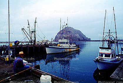 Morro Rock, Docks, Harbor