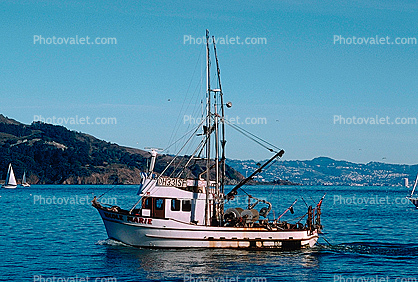 Sardine Boat, Angel Island