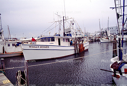 Gulfport, Harbor, Docks, Fishing Boats