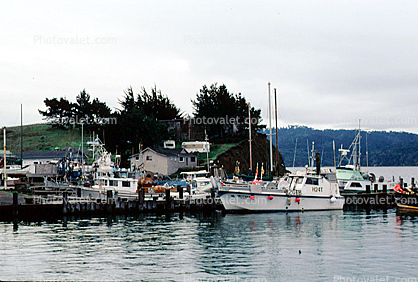 Boats, docks, harbor, Tomales Bay, Marin County