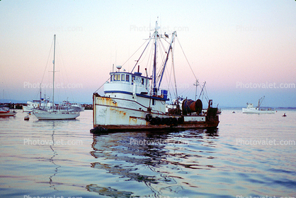 Monterey, Harbor, Bay, Fishing Boat