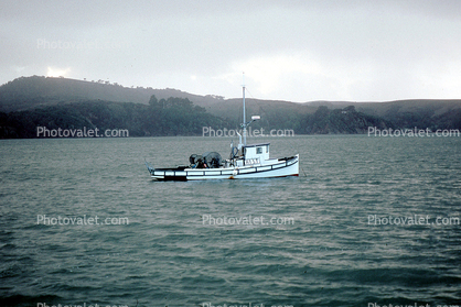 Fishing Boat, town of Marshall, Harbor, Tomales Bay, Marin County