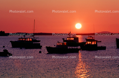 Lobster Boats, Harbor, Sunset, Port Clyde, Saint George peninsula, Saint George, Knox County, Maine