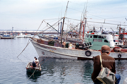 Fishing Port of Peniche