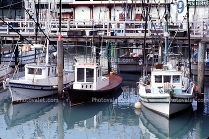 Docks, Fishing Fleet, Harbor