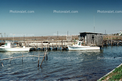 dock, buildings, harbor, Crisfield, Maryland