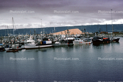 Harbor, Homer, Alaska