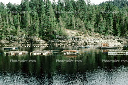 Shellfish, Salmon, Hatchery, Desolation Sound, British Columbia, Dock