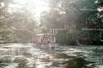 swamp boat, Houma, wetlands, bayou