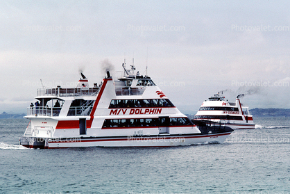 Catamarans, Red and White fleet