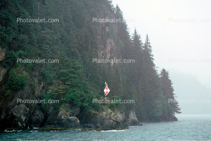 Cliff, Trees, Homer Alaska