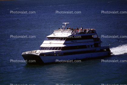 Angel Island Ferry, Tiburon, Ferry, Ferryboat