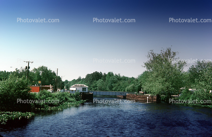 Dismal Swamp Canal, wetlands