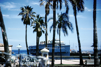 Avalon Harbor, Palm Trees, Catalina Island, SS-Catalina, 1962, 1960s