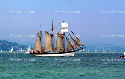 Sailing on the Bay, Three Masted Tall Ship