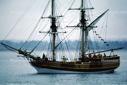 Lady Washington, harbor, Westport, Washington