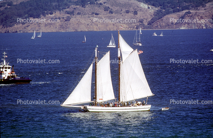Alma, flat-bottomed scow schooner, San Francisco Maritime National Historical Park 