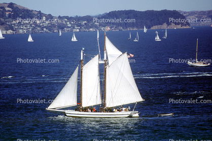 Alma flat-bottomed scow schooner, National Historic Landmark, San Francisco Maritime National Historical Park 