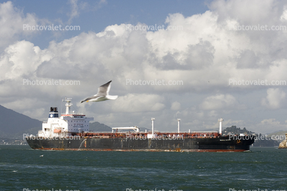 Seabulk Mariner, Oil Products Tanker, Bulk Carrier, Oil Tanker, IMO: 9131369