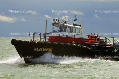 Hawk, Utility Boat, workboat