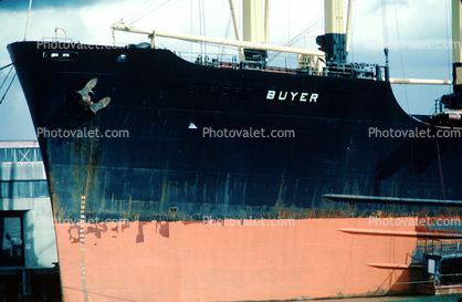 Bow, Anchor, Buyer, IMO 5111036, General cargo ship, Pier-50, Pier, Dock, Port of San Francisco, California