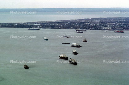 Harbor loaded with ships