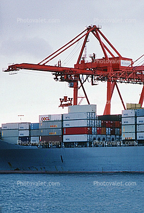 Neptune Amber, IMO: 7819357, Seattle Harbor, Gantry Crane, Dock