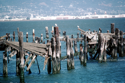 Dilapitated Pier, Dock