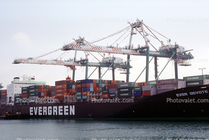 Ever Devote, Evergreen, Gantry Crane, Harbor