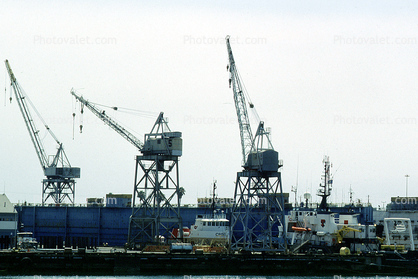 Crane, Harbor