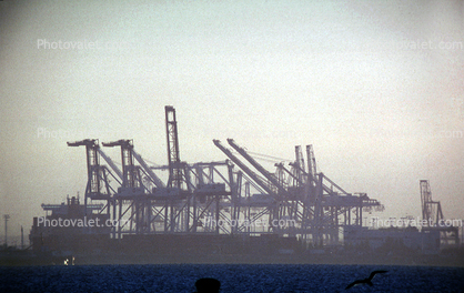 Port of Oakland, Gantry Crane, Harbor