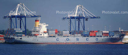 COSCO, Port of Charleston, South Carolina, Cranes, Dock, Harbor, Panorama