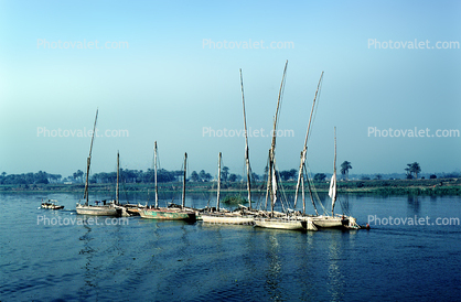 Dhow Sailing Ship, Minya, Nile River, vessel