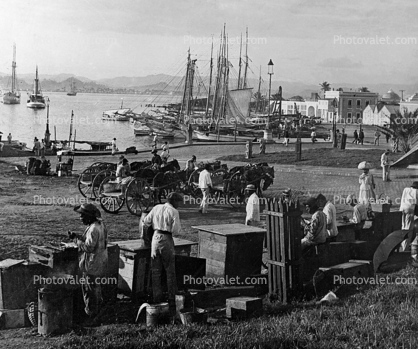 Freight, shore, docks, harbor, boxes, 1890's