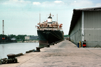 Gulf Trident, Bulk Carrier, Dock, Harbor, warehouse, IMO: 6707868
