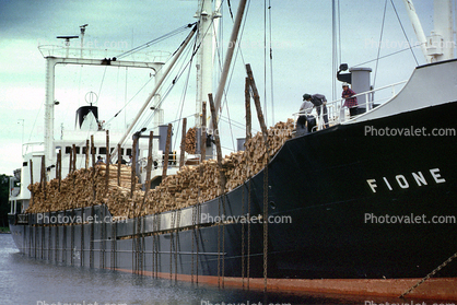 Fione, Lumber Ship