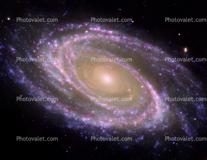 M81 Galaxy is Pretty in Pink, Messier 81, Spiral Galaxy