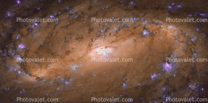 NGC 2903 Iconic Spiral Galaxy