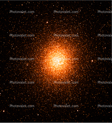 Cluster Galaxy