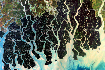 Sundarbans, Bangladesh, Ganges River Delta, India