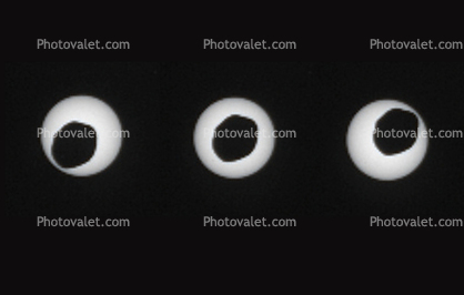 Annular Eclipse of the Sun by Phobos, as Seen by Curiosity