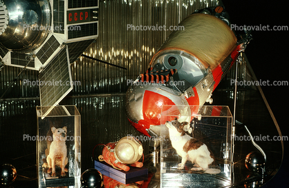 Laika, Memorial Museum of Cosmonautics, Moscow Space Museum, Russian spacecraft