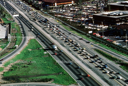 Highway 101, traffic jam, rush hour, Level-A Traffic