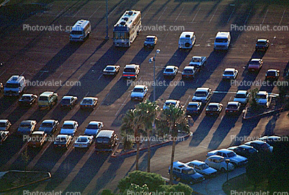 Cars, Bus, Shadow, Palm Trees, Parking, Las Vegas