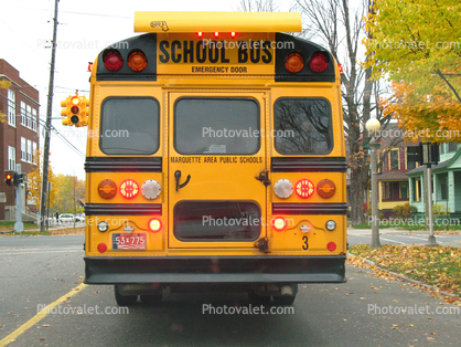 Marquette School Bus Rear
