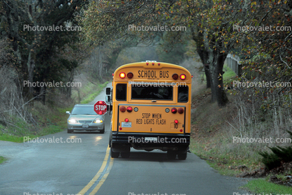 School Bus, Bloomfield Road, Sonoma County, California